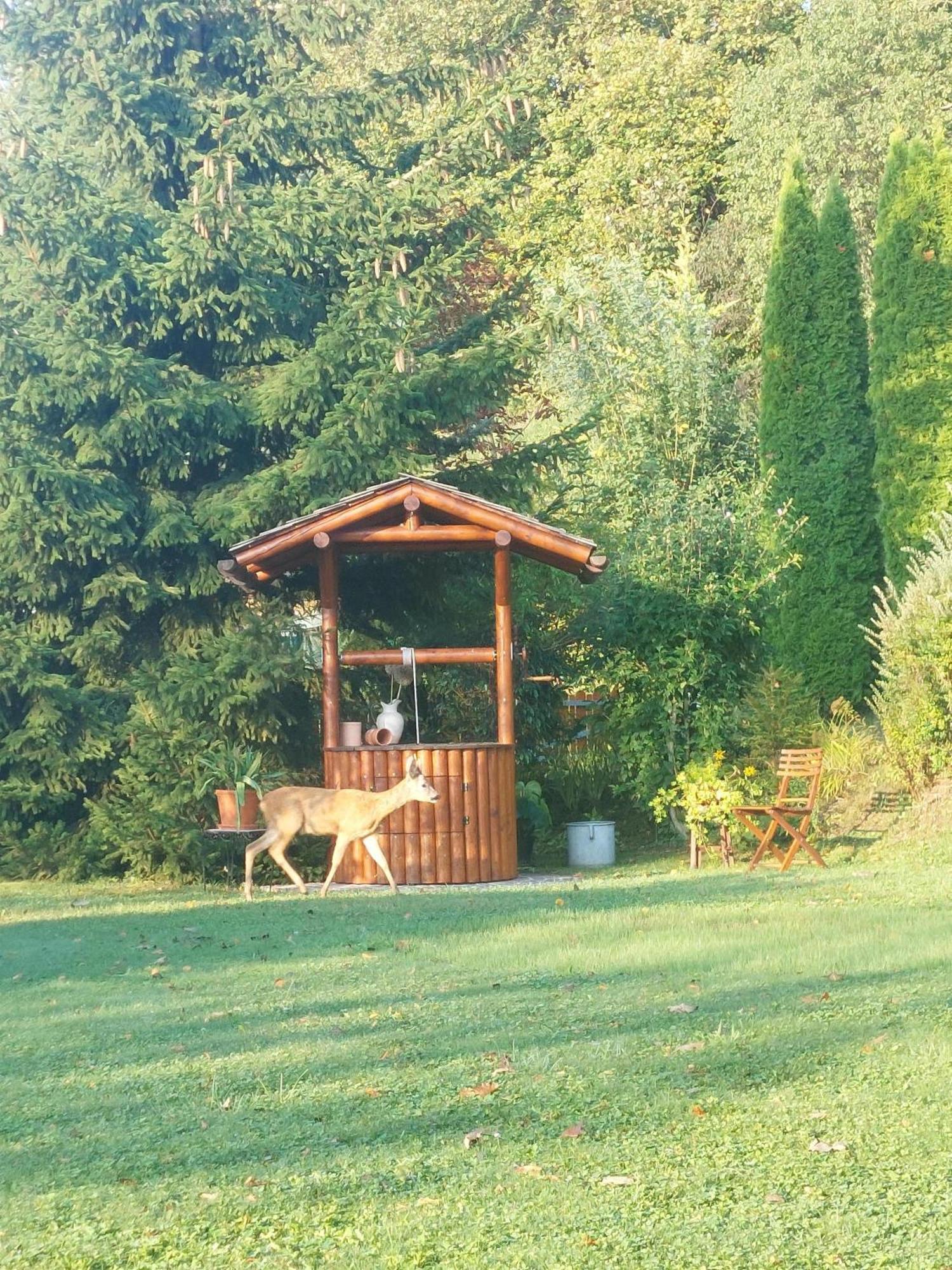Privatzimmer Am Weinbrunnen Форхдорф Экстерьер фото